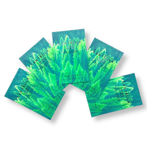 Успокаивающий крем SKIN1004 MADAGASCAR CENTELLA TEA-TRICA B5 CREAM SAMPLE (5ea)